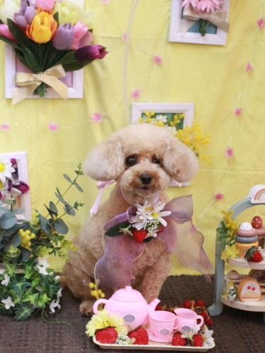 20230324クッキーくん